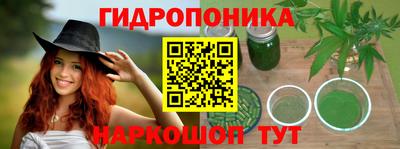 дмт Гусь-Хрустальный