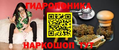 дмт Гусь-Хрустальный