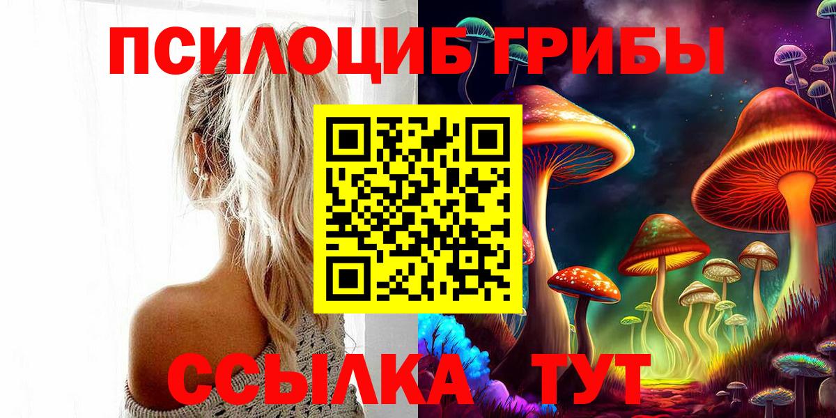 Псилоцибиновые грибы Magic Shrooms Михайловка