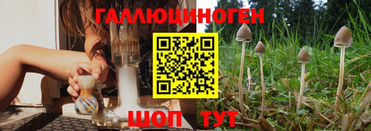 Галлюциногенные грибы ЛСД  Галлюциногенные грибы прущие грибы  Вход с VPN  Михайловка 